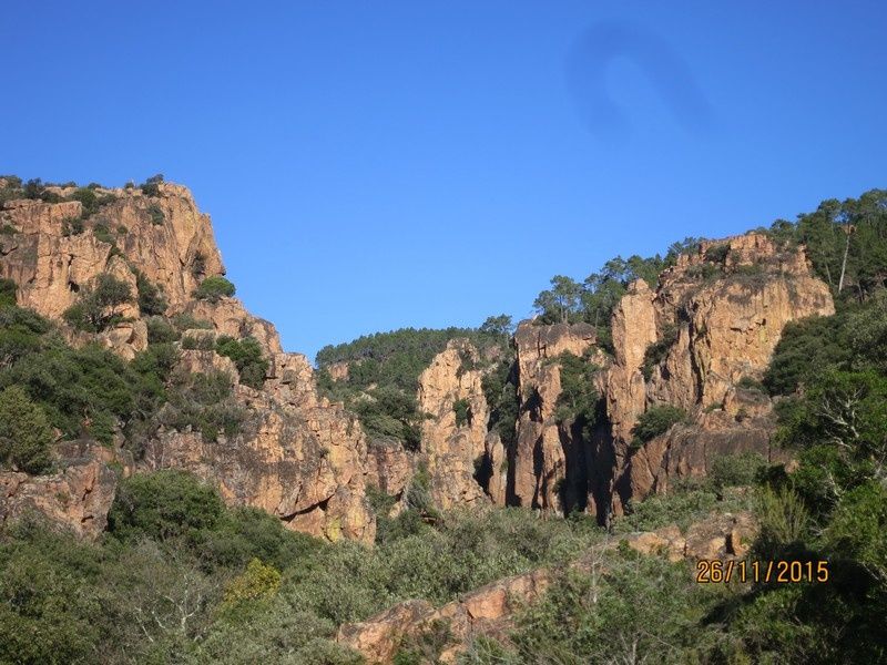 Jusqu'au Blavet en passant par la forêt Raphele - 26/11/2015