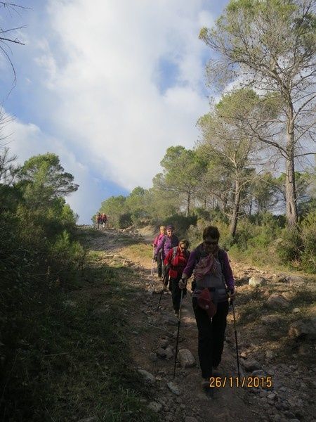 Jusqu'au Blavet en passant par la forêt Raphele - 26/11/2015