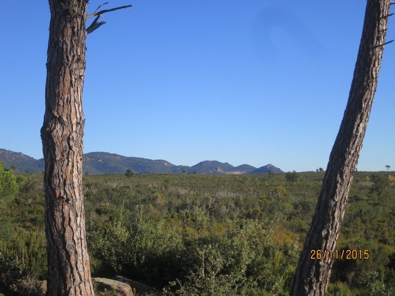 Jusqu'au Blavet en passant par la forêt Raphele - 26/11/2015
