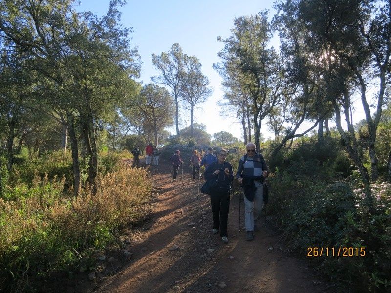 Jusqu'au Blavet en passant par la forêt Raphele - 26/11/2015