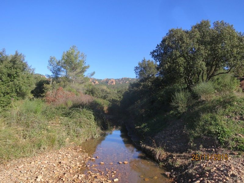 Jusqu'au Blavet en passant par la forêt Raphele - 26/11/2015