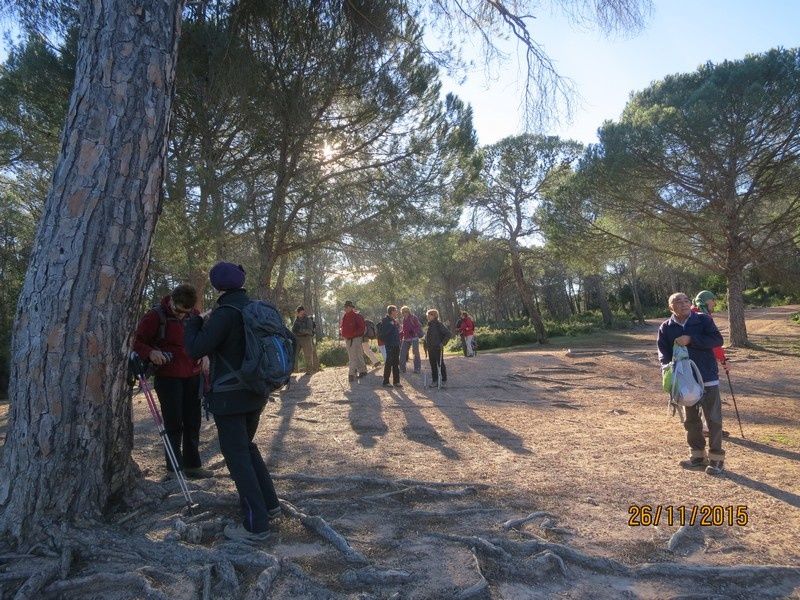 Jusqu'au Blavet en passant par la forêt Raphele - 26/11/2015