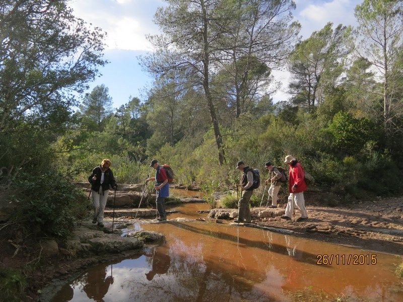 Jusqu'au Blavet en passant par la forêt Raphele - 26/11/2015