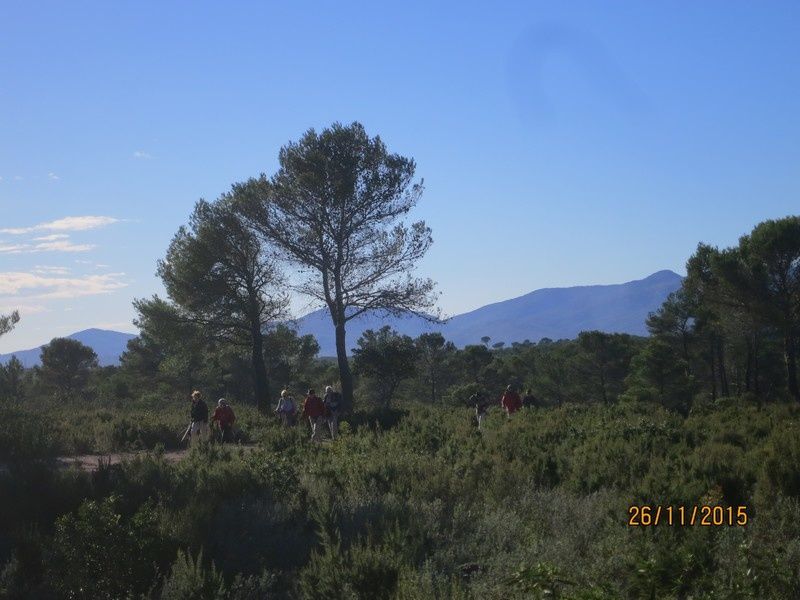 Jusqu'au Blavet en passant par la forêt Raphele - 26/11/2015
