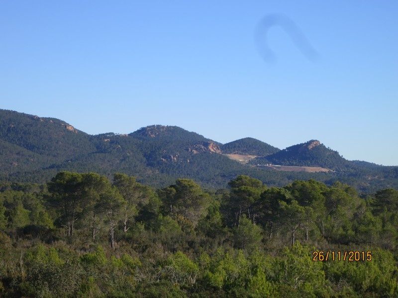 Jusqu'au Blavet en passant par la forêt Raphele - 26/11/2015