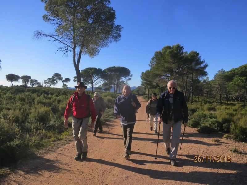 Jusqu'au Blavet en passant par la forêt Raphele - 26/11/2015