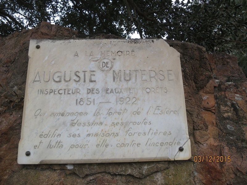 Le Mont Vinaigre - 03/12/2015