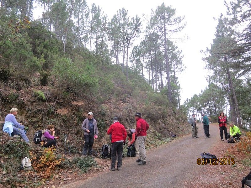 Le Mont Vinaigre - 03/12/2015