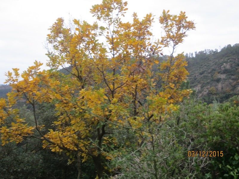Le Mont Vinaigre - 03/12/2015