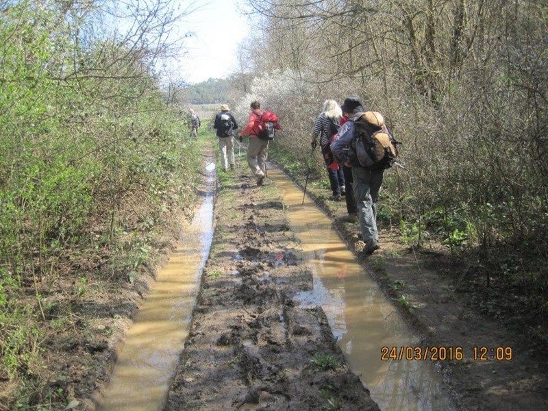 BRAS - Rando ABC petites jambes - jeudi 24 mars 2016