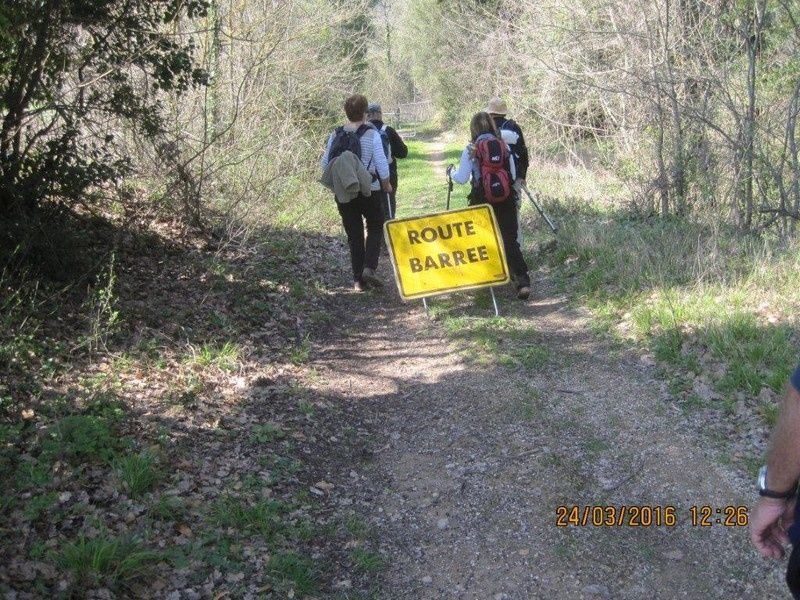 BRAS - Rando ABC petites jambes - jeudi 24 mars 2016