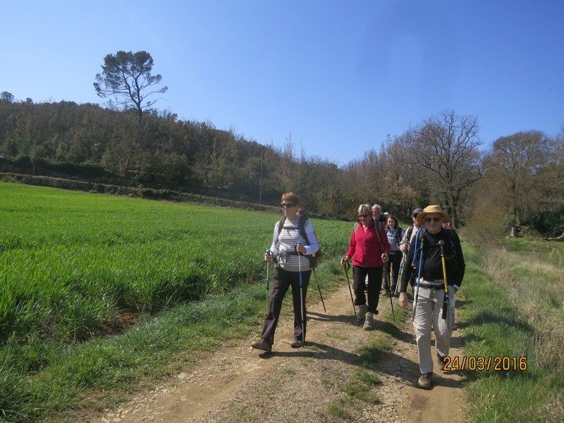 BRAS - Rando ABC petites jambes - jeudi 24 mars 2016