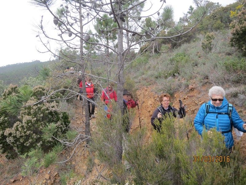 Pic d'Aurelle - jeudi 31 Mars 2016 - circuit petites jambes