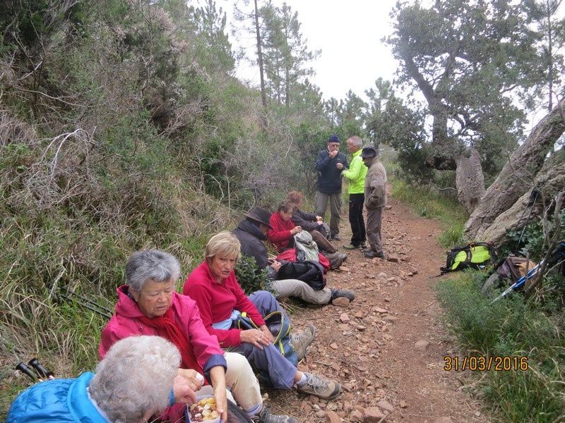 Pic d'Aurelle - jeudi 31 Mars 2016 - circuit petites jambes