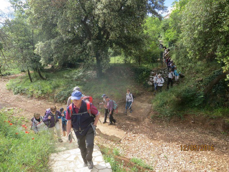 Las manjas de perus - circuit au Thoronet - jeudi 12 mai 2016