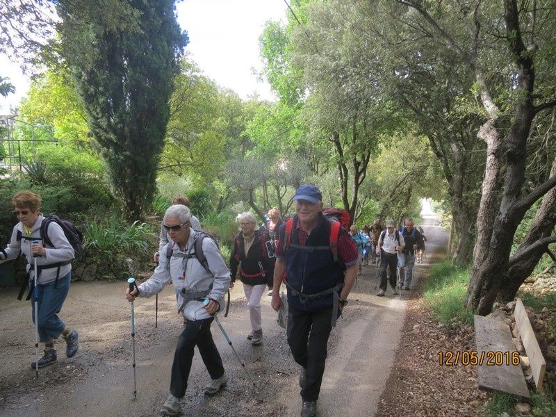 Las manjas de perus - circuit au Thoronet - jeudi 12 mai 2016