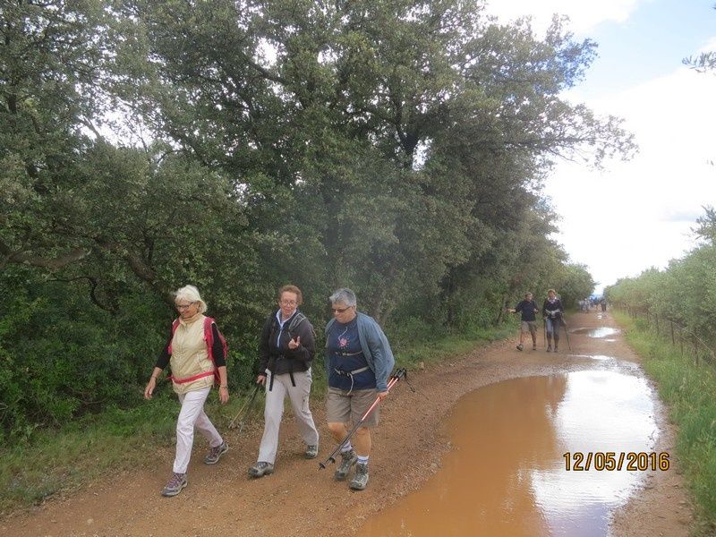 Las manjas de perus - circuit au Thoronet - jeudi 12 mai 2016