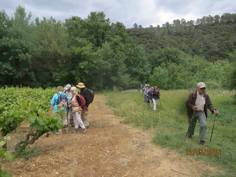 Las manjas de perus - circuit au Thoronet - jeudi 12 mai 2016