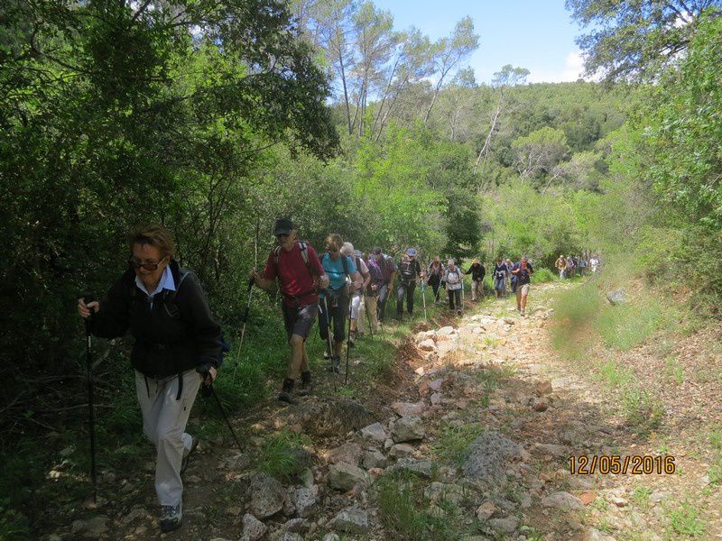 Las manjas de perus - circuit au Thoronet - jeudi 12 mai 2016