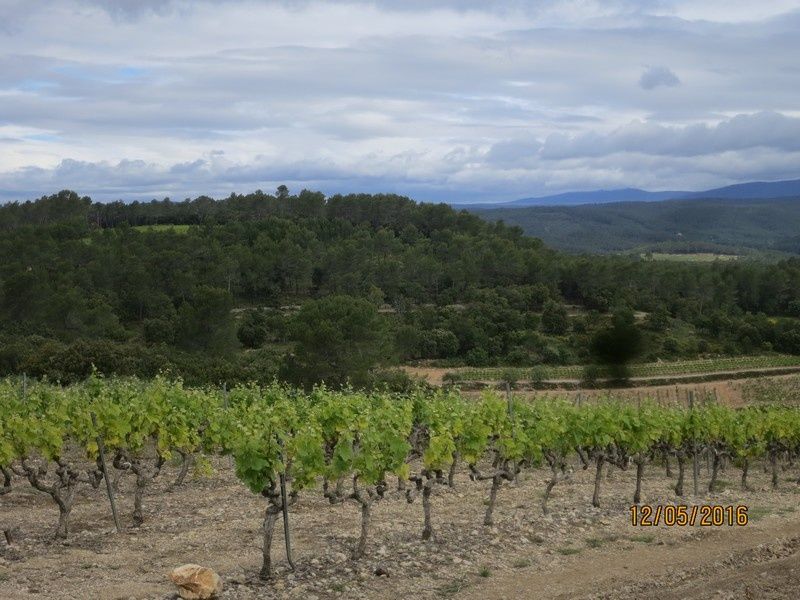 Las manjas de perus - circuit au Thoronet - jeudi 12 mai 2016