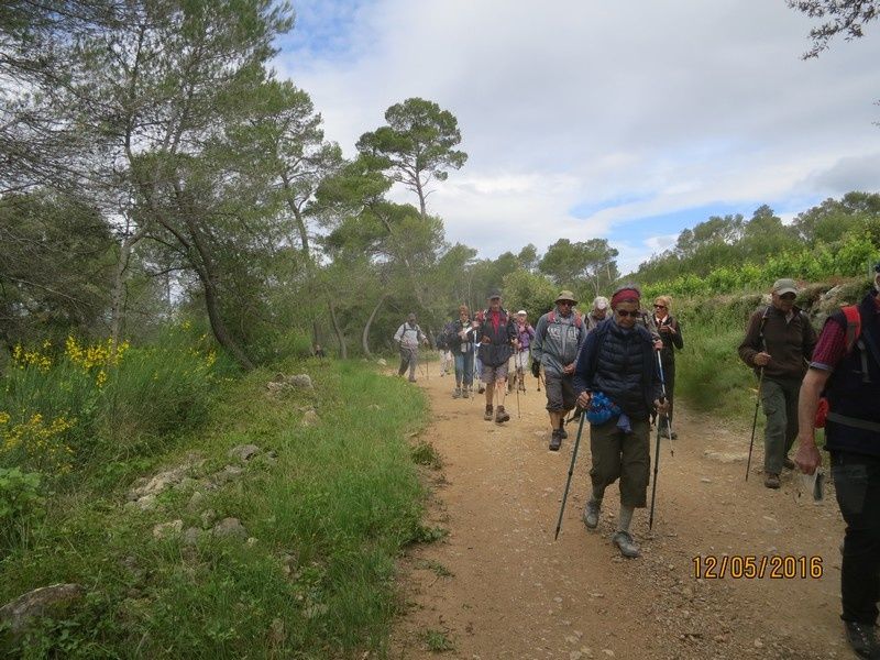 Las manjas de perus - circuit au Thoronet - jeudi 12 mai 2016