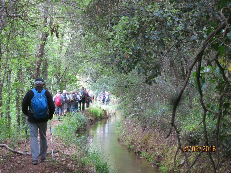 Las manjas de perus - circuit au Thoronet - jeudi 12 mai 2016