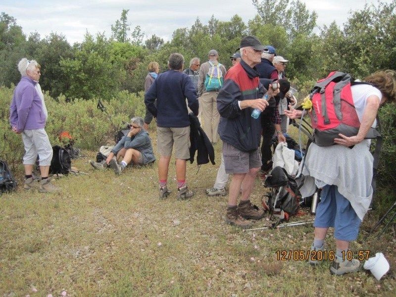 Las manjas de perus - circuit au Thoronet - jeudi 12 mai 2016