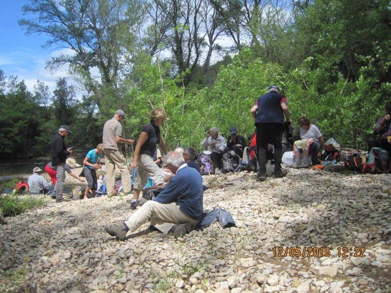 Las manjas de perus - circuit au Thoronet - jeudi 12 mai 2016