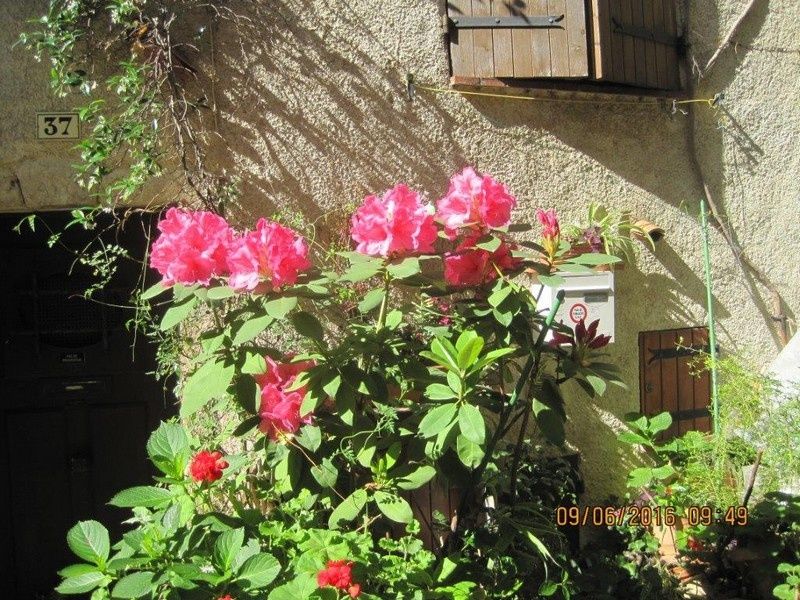 Callian - Le vallon de la Camiole - Circuit petites jambes _ jeudi 9 juin 2016