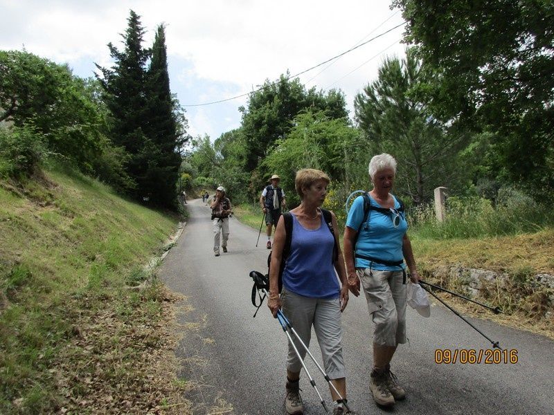 Callian - Le vallon de la Camiole - Circuit petites jambes _ jeudi 9 juin 2016
