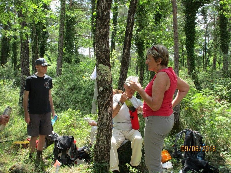 Callian - Le vallon de la Camiole - Circuit petites jambes _ jeudi 9 juin 2016