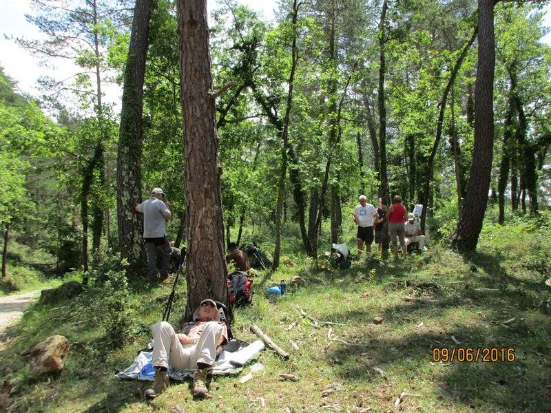 Callian - Le vallon de la Camiole - Circuit petites jambes _ jeudi 9 juin 2016