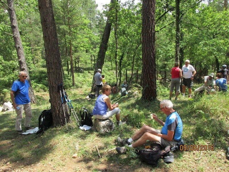 Callian - Le vallon de la Camiole - Circuit petites jambes _ jeudi 9 juin 2016