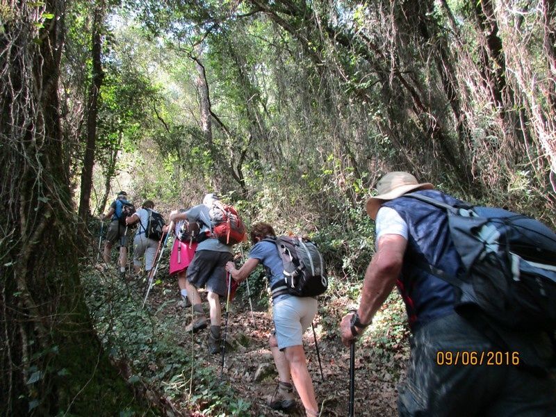 Callian - Le vallon de la Camiole - Circuit petites jambes _ jeudi 9 juin 2016