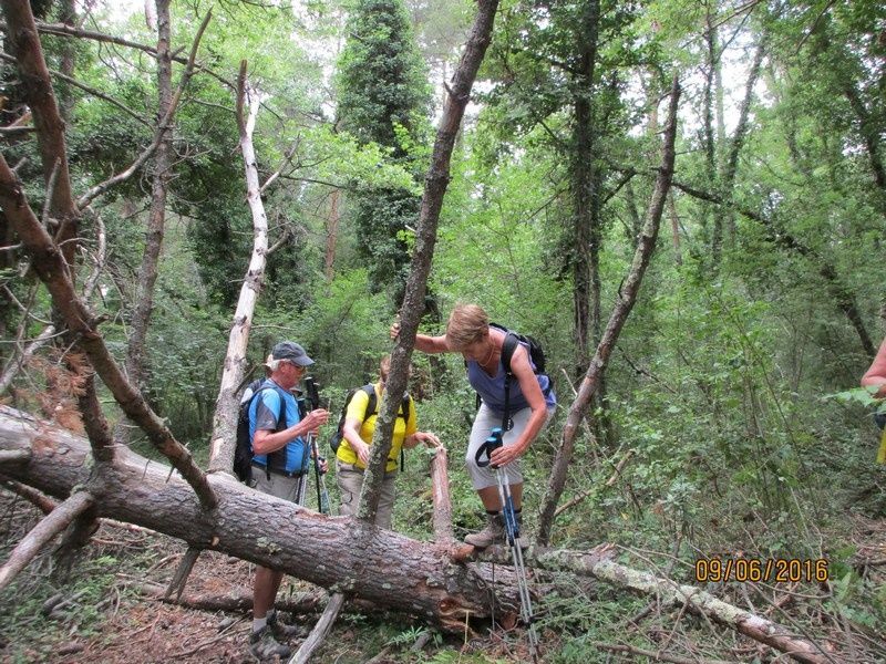 Callian - Le vallon de la Camiole - Circuit petites jambes _ jeudi 9 juin 2016
