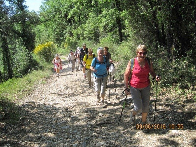 Callian - Le vallon de la Camiole - Circuit petites jambes _ jeudi 9 juin 2016