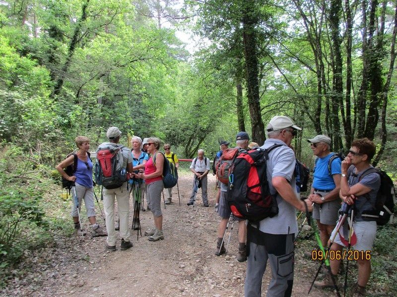 Callian - Le vallon de la Camiole - Circuit petites jambes _ jeudi 9 juin 2016