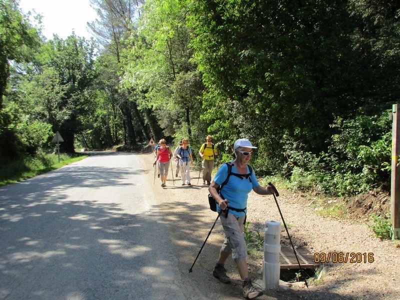 Callian - Le vallon de la Camiole - Circuit petites jambes _ jeudi 9 juin 2016