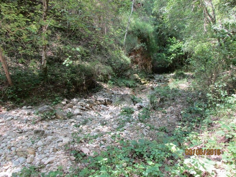 Callian - Le vallon de la Camiole - Circuit petites jambes _ jeudi 9 juin 2016