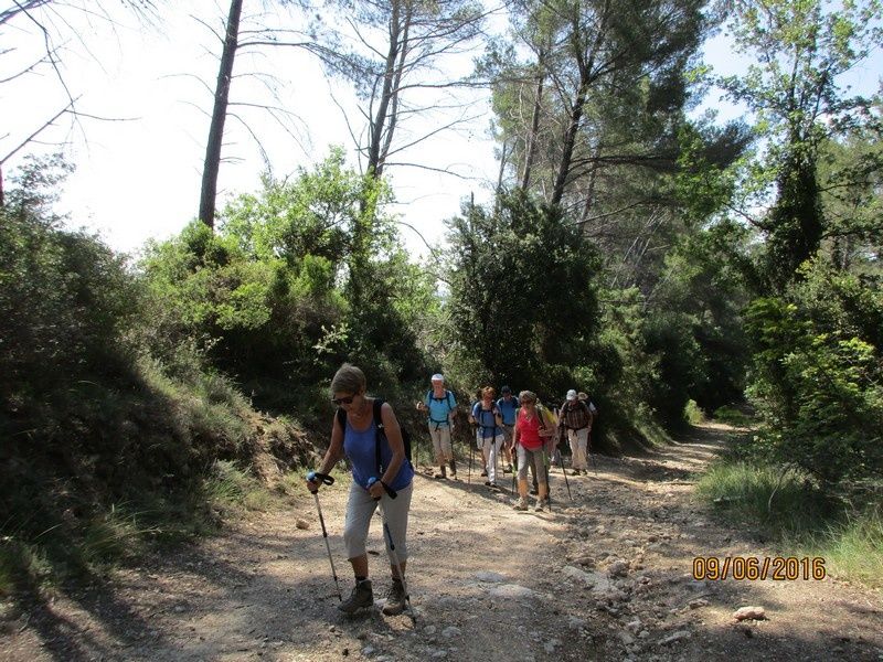 Callian - Le vallon de la Camiole - Circuit petites jambes _ jeudi 9 juin 2016