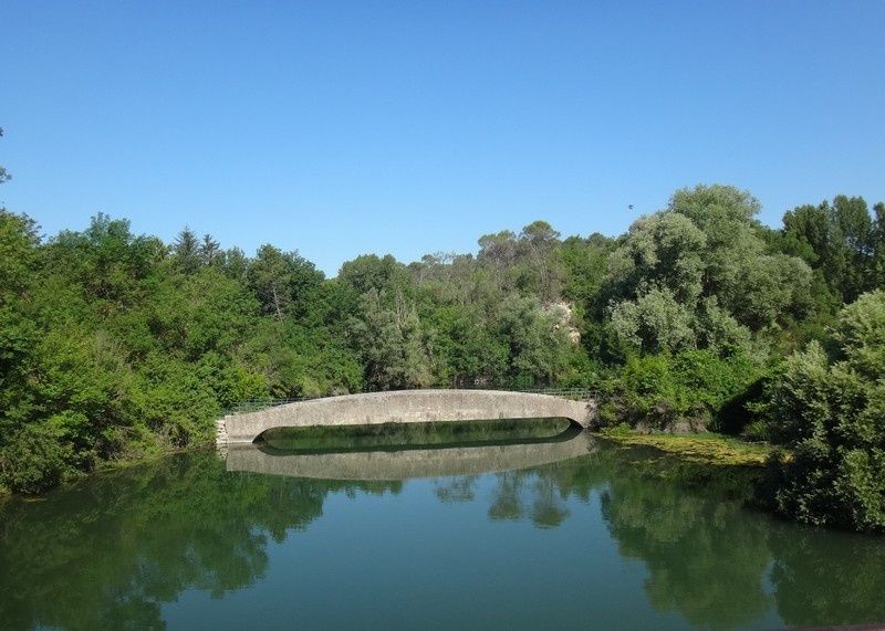 Les berges du Lac Saint Cassien - jeudi 23 juin 2016