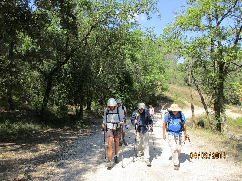 FLAYOSC - Les Vallons Sud - jeudi 8 septembre 2016