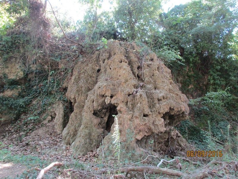 FLAYOSC - Les Vallons Sud - jeudi 8 septembre 2016