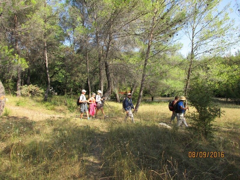 FLAYOSC - Les Vallons Sud - jeudi 8 septembre 2016