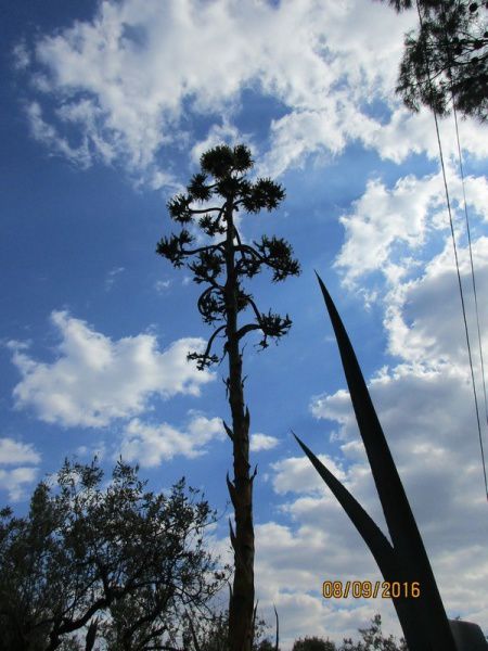 FLAYOSC - Les Vallons Sud - jeudi 8 septembre 2016