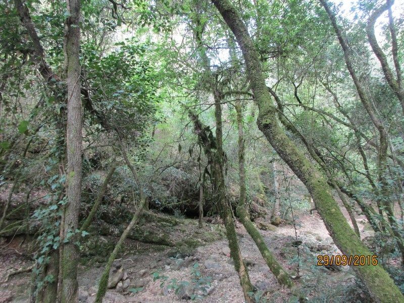 La Brague et le Bruguet - Valbonne - circuit n°2 - jeudi 29 septembre 2016