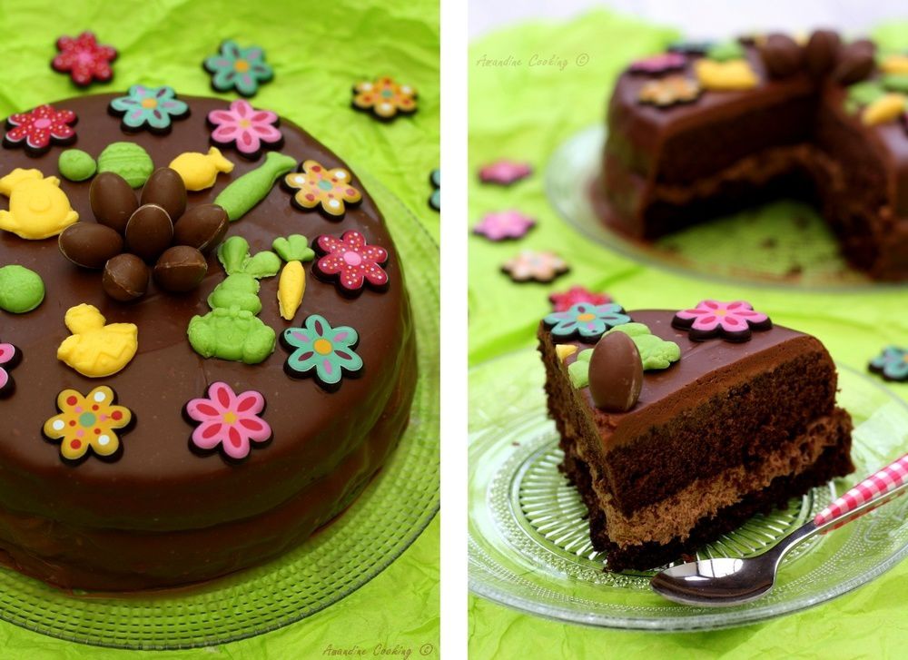 Gâteau nid de Pâques au chocolat - Amandine Cooking