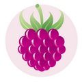 recettes framboise