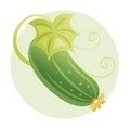 recette courgette