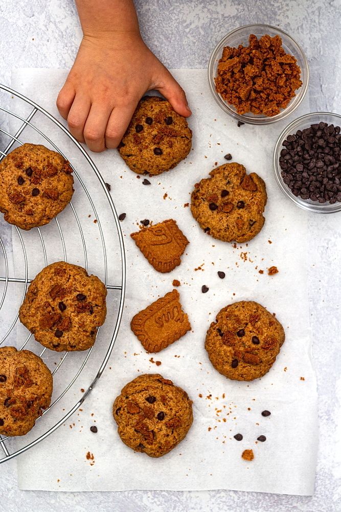 cookie spéculoos